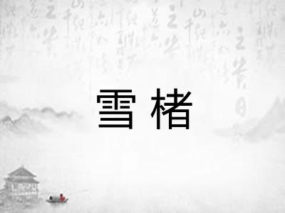 雪楮 雪楮