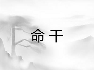 命干 命干