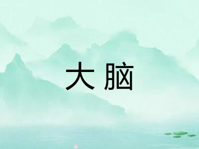 大脑