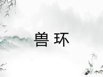 兽环