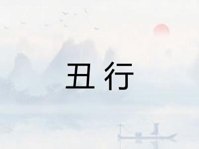 丑行