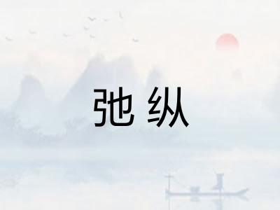 弛纵