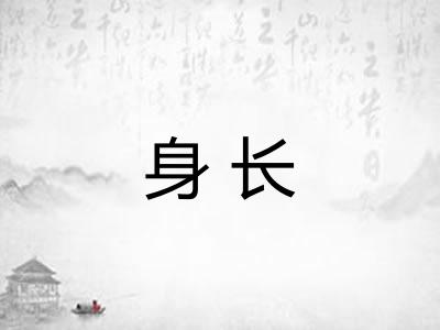 身长 身长