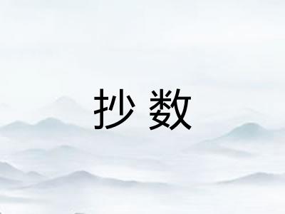 抄数 抄数