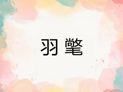 羽氅 羽氅