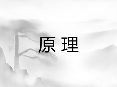 原理 原理