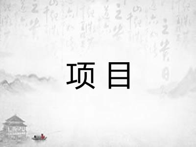 项目