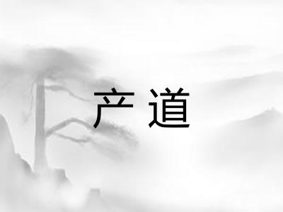 产道 产道
