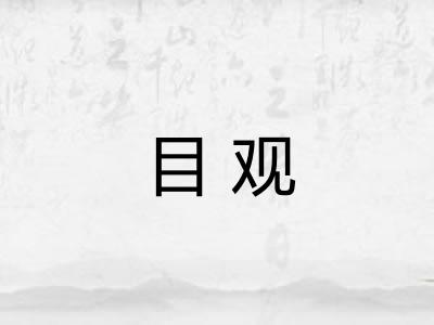 目观 目观