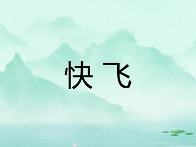快飞 快飞