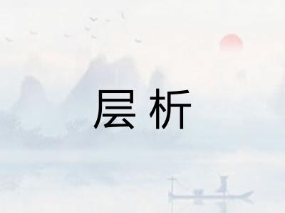 层析 层析