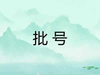 批号 批号