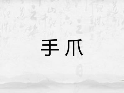 手爪 手爪