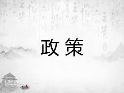 政策 政策