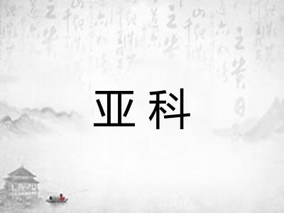 亚科 亚科