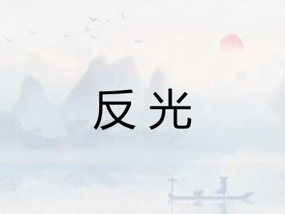 反光 反光