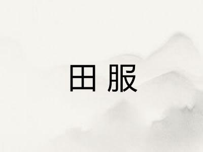 田服 田服