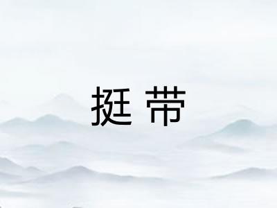挺带 挺带