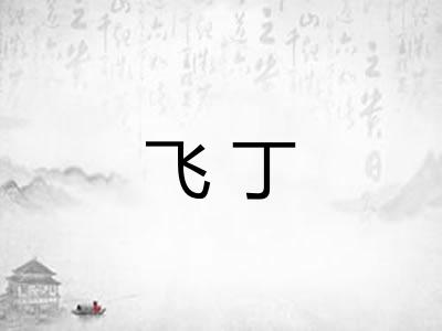 飞丁 飞丁