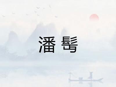 潘髩 潘髩