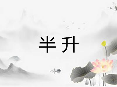 半升 半升