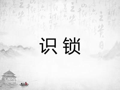 识锁 识锁