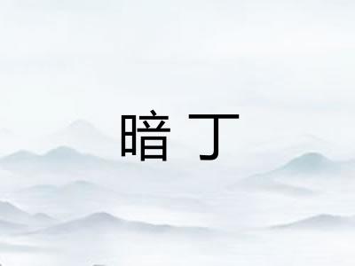 暗丁