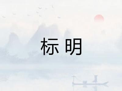 标明