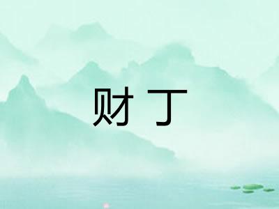 财丁 财丁