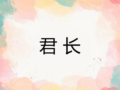 君长 君长