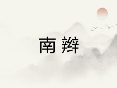 南辫 南辫