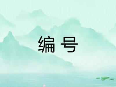 编号 编号