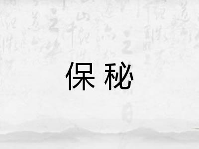保秘