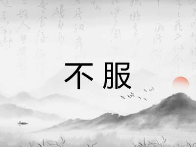 不服 不服