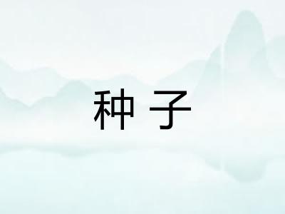 种子 种子