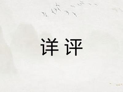 详评 详评
