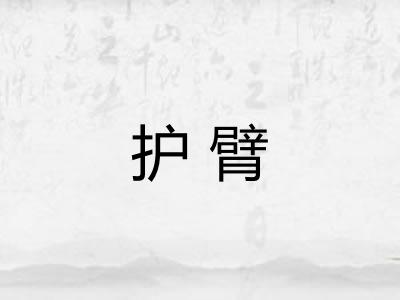 护臂 护臂