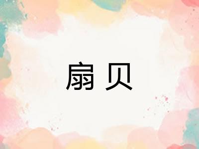 扇贝 扇贝