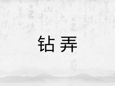钻弄 钻弄