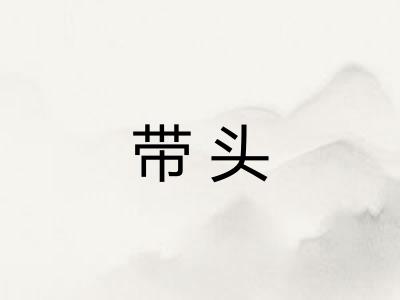 带头 带头