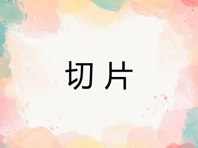 切片 切片