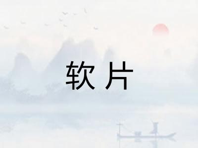 软片 软片