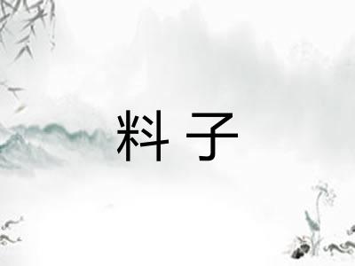 料子 料子