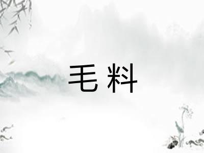 毛料