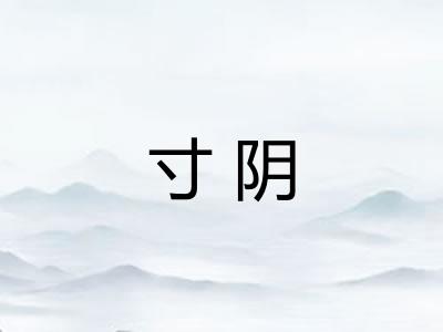寸阴 寸阴