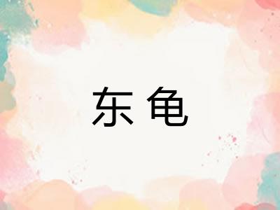 东龟 东龟