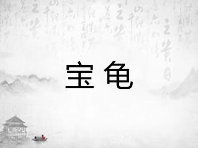 宝龟 宝龟