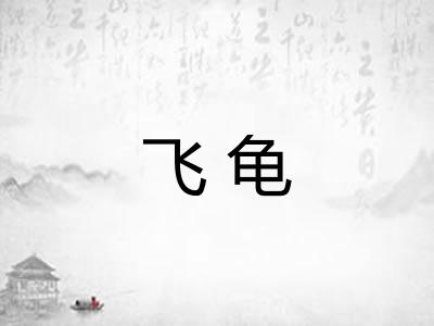 飞龟 飞龟
