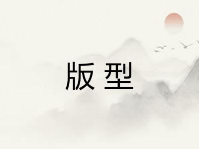 版型