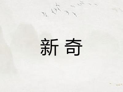 新奇
